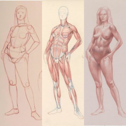 Figure Drawing Foundation feb-mar24